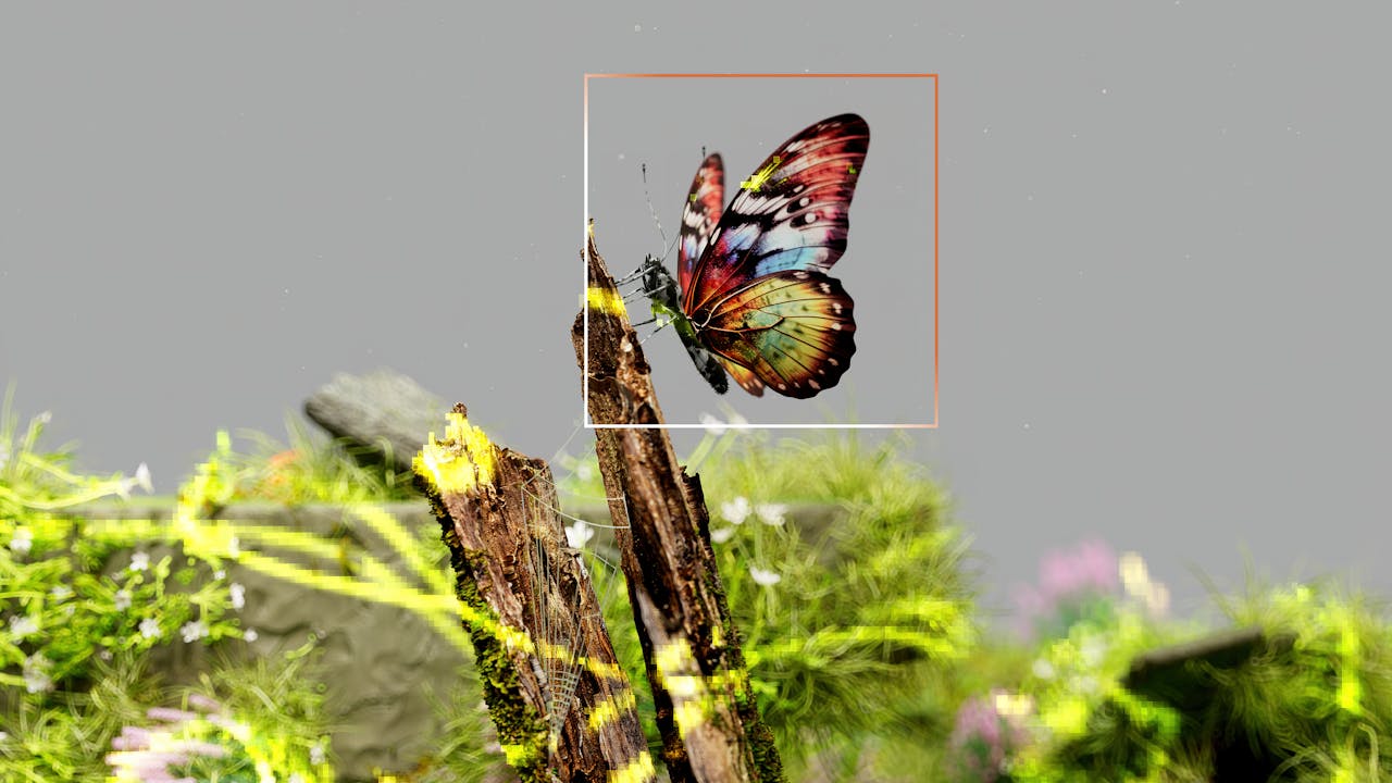 Crafting Captivating Headlines: Your awesome post title goes here Vibrant butterfly resting on mossy wood surrounded by fresh greenery.